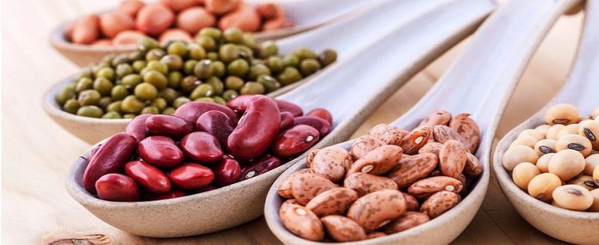 بهترین منابع غذایی پروتئین گیاهی