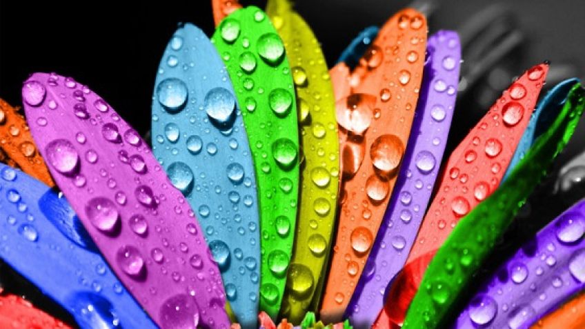 توصیه هایی برای ست کردن رنگ لباس کودک