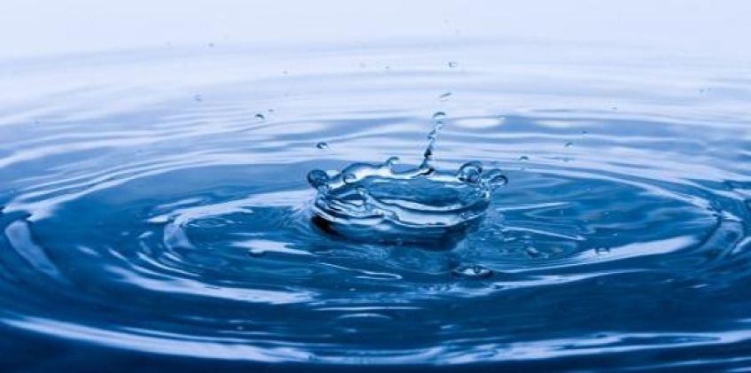 ریشه و کاربرد ضرب المثل آب پاکی روی دستش ریختن