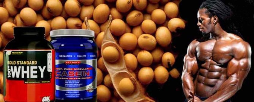 فواید پروتئین سویا در بدنسازی و عضله سازی
