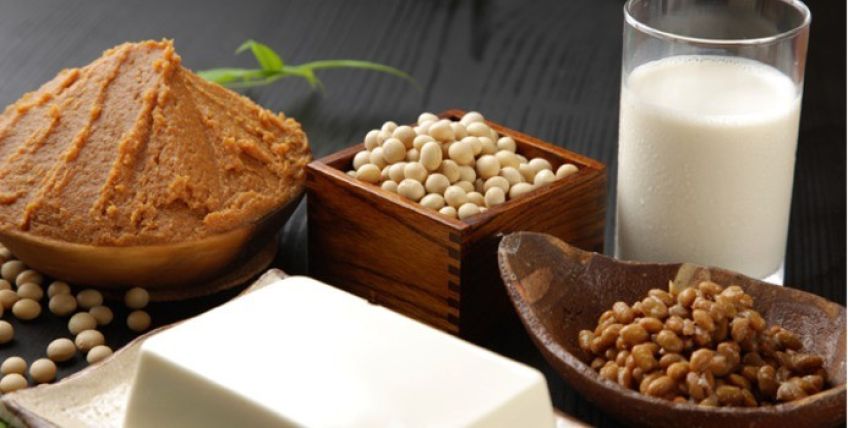 پروتئین سویا برای بدنسازی بهتر است یا پروتئین وی و کازئین