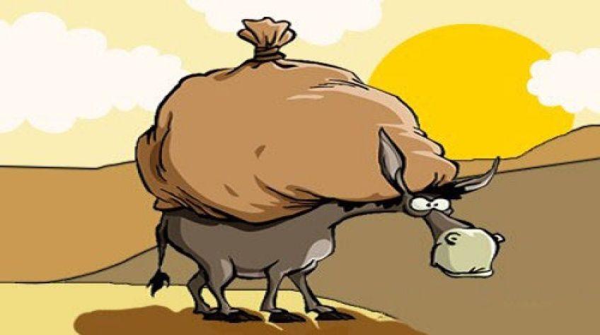 داستان و کاربرد ضرب المثل خر بیار و باقالی بار کن
