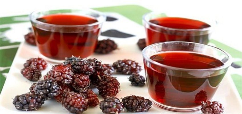 نحوه تهیه نوشیدنی یخی با انگور و تمشک و شاتوت