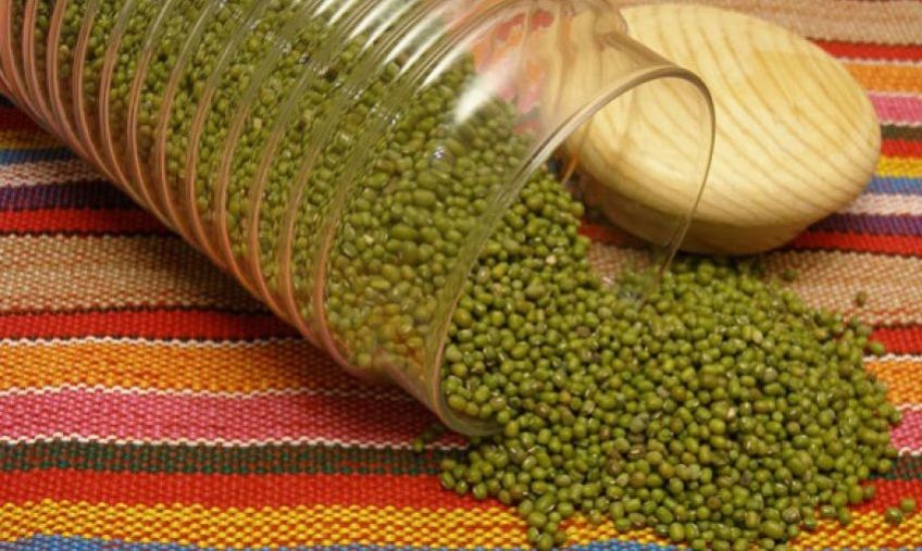 خواص درمانی ماش