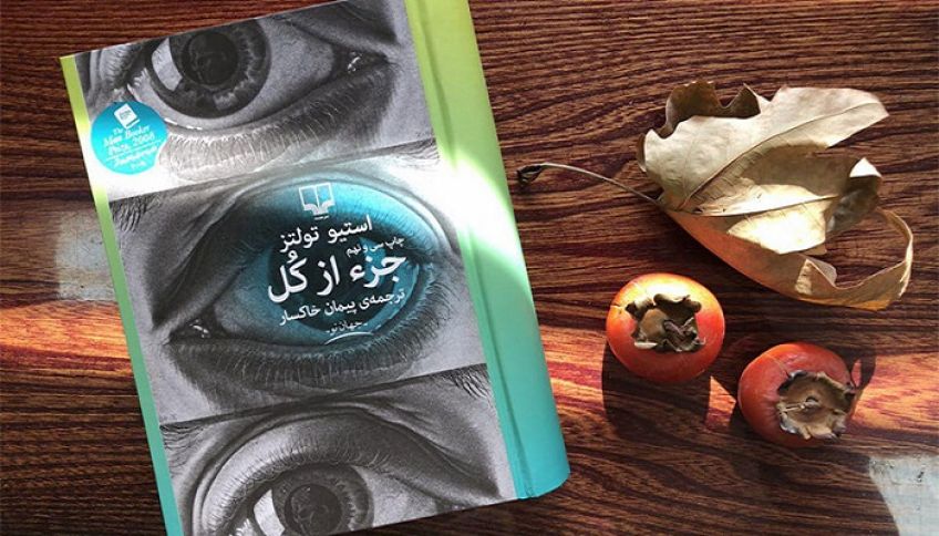 رمان زیبای جز از کل نوشته استیو تولتز