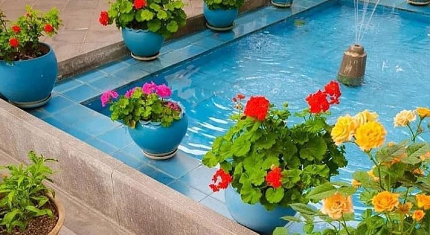 شعر پیغام ماهی ها از سهراب سپهری شاعر معاصر