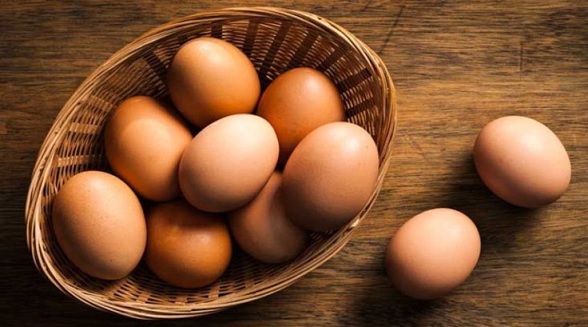معمای تعداد تخم مرغ ها با پاسخ تشریحی