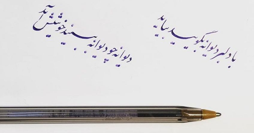 شعر زیبای دیوانه چو دیوانه ببیند از پرواز همای