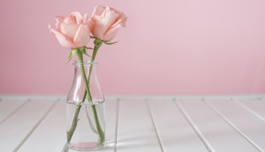 روش هایی برای شاداب تر ماندن شاخه گل ها