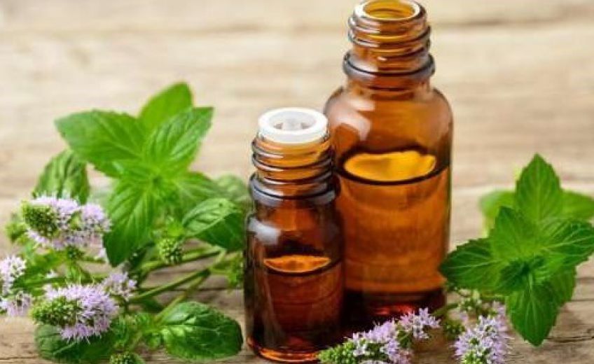 با خواص روغن گیاهی کندش آشنا شویم