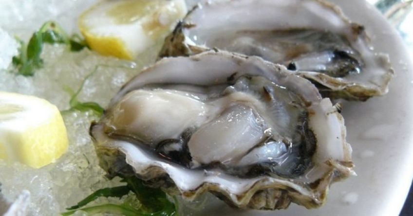 صدف دریایی چه خواصی دارد