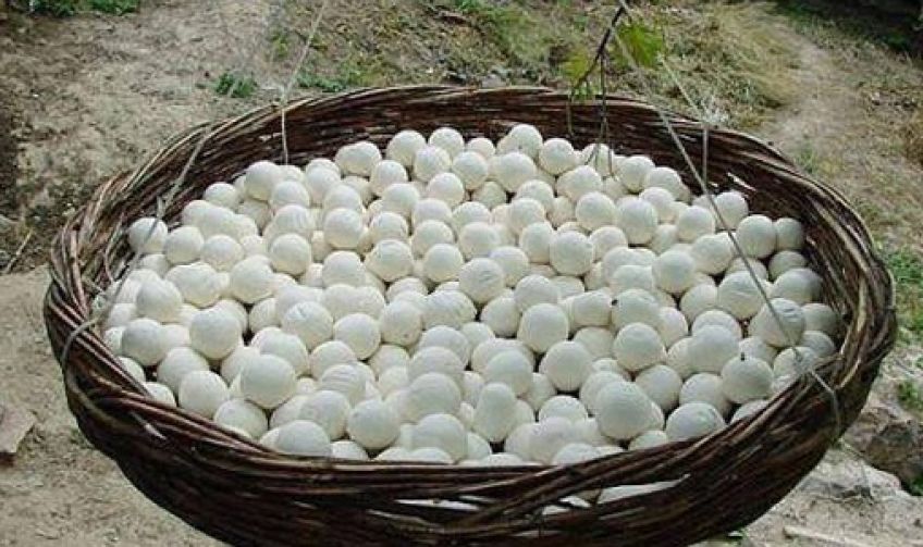 10خاصیت کشک خشک