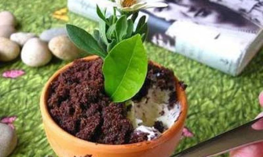 آموزش تهیه دسر بستنی گلدانی