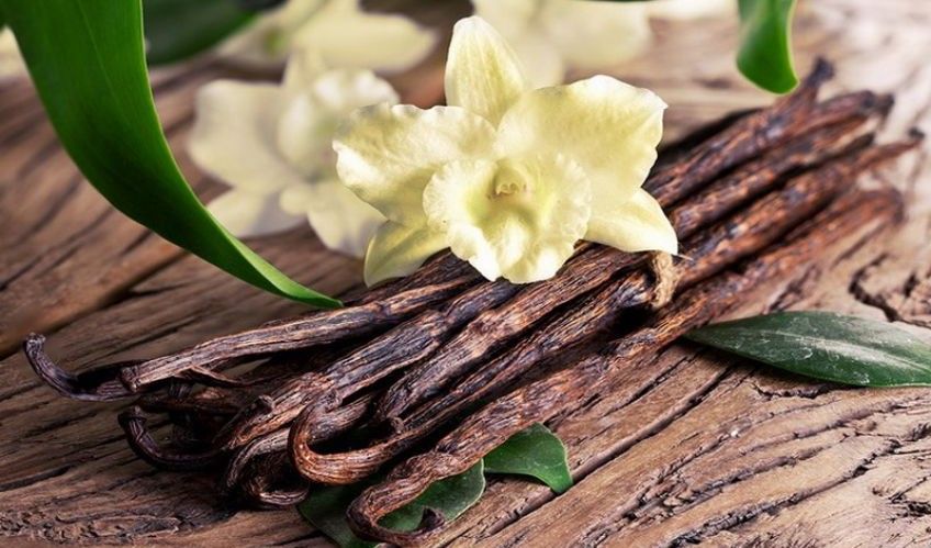 عطر و ادکلن های معروف زنانه با نت وانیل