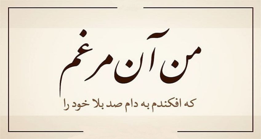 شعر و غزل من آن مرغم که افکندم به دام صد بلا خود را از گزیده اشعار وحشی بافقی