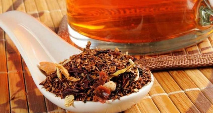 با خواص چای رویبوس آشنا شویم