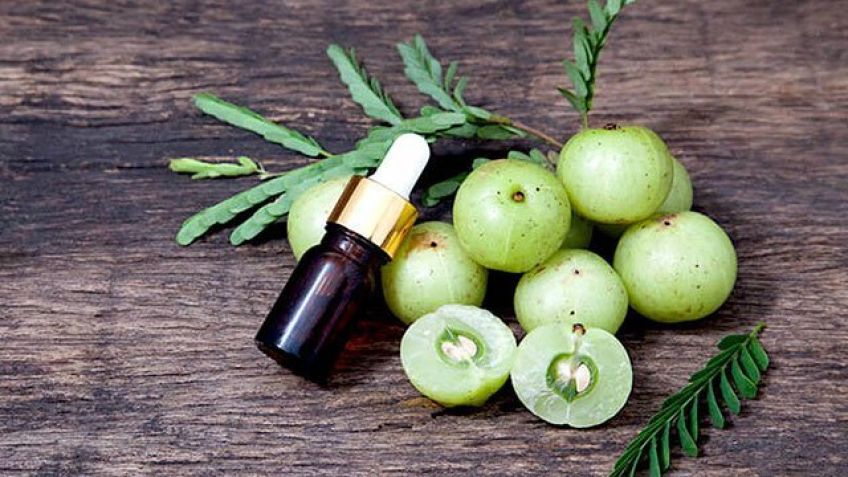 از خواص گیاه دارویی آمله چه می دانید