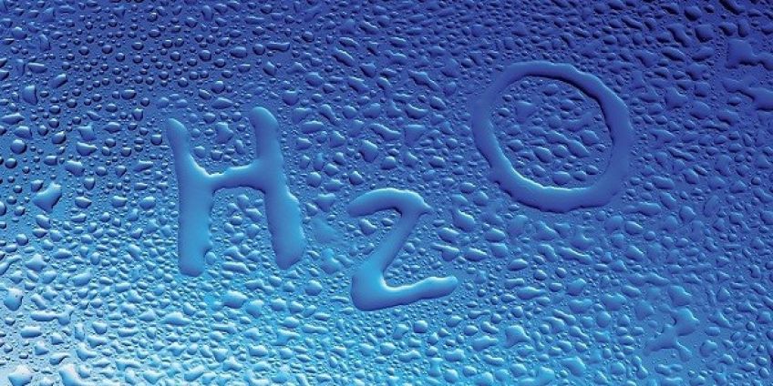 داستان زیبای ما چقدر زود باور هستیم
