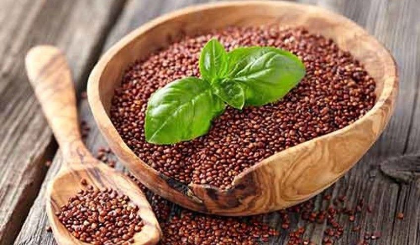 با خواص گیاه کینوا یا خاویار گیاهی آشنا شویم