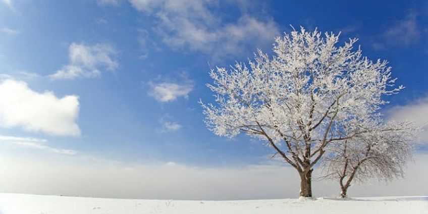 شعر زیبای پیغام از مهدی اخوان ثالث شاعر معاصر