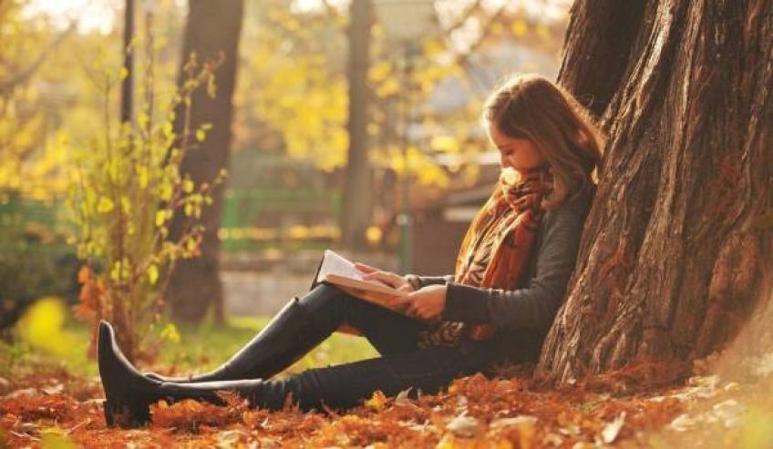 داستان زیبای عشق و دیوانگی