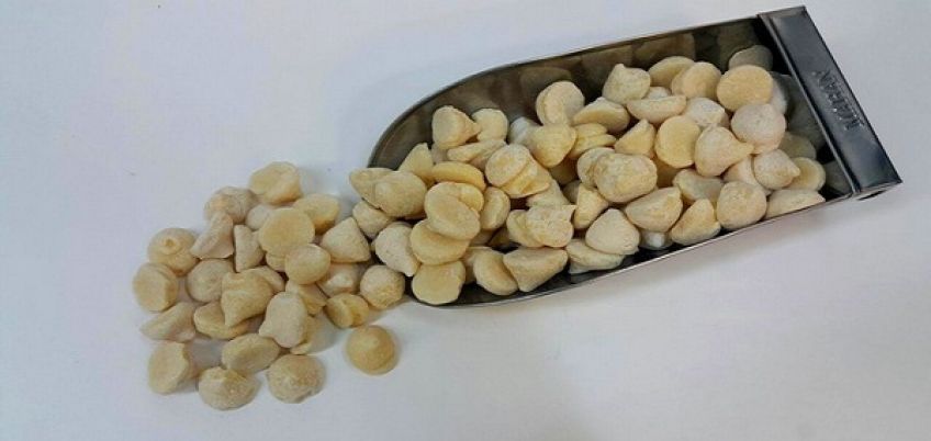 کاربرد و داستان ضرب المثل برو کشکت رو بساب