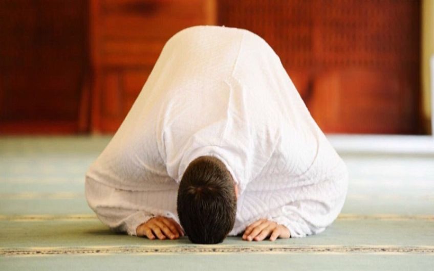 دلیل سجده بر مهر چیست