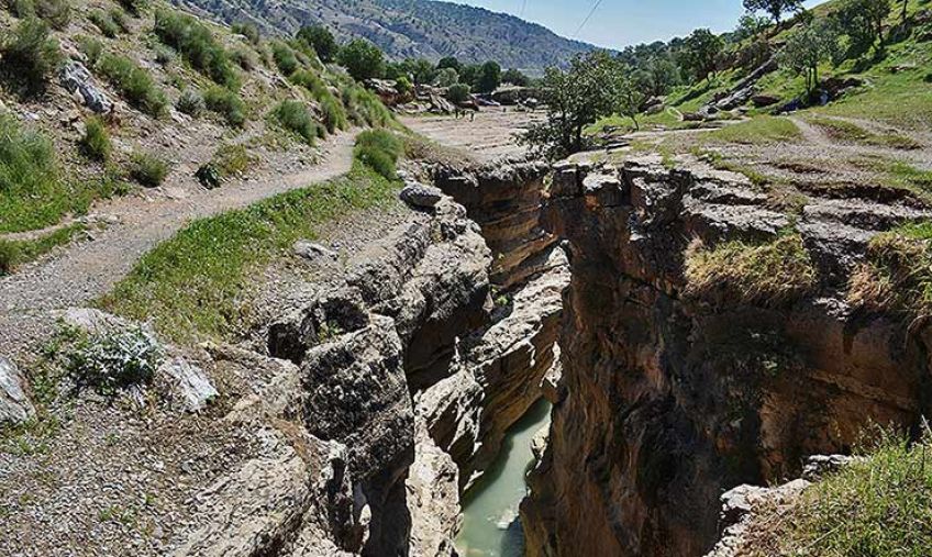 تنگ رازیانه ایلام تنگه ای مملو از گیاه رازیانه