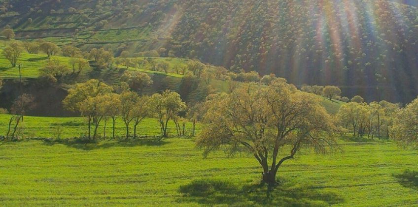شعر بوی بهار از معینی کرمانشاهی