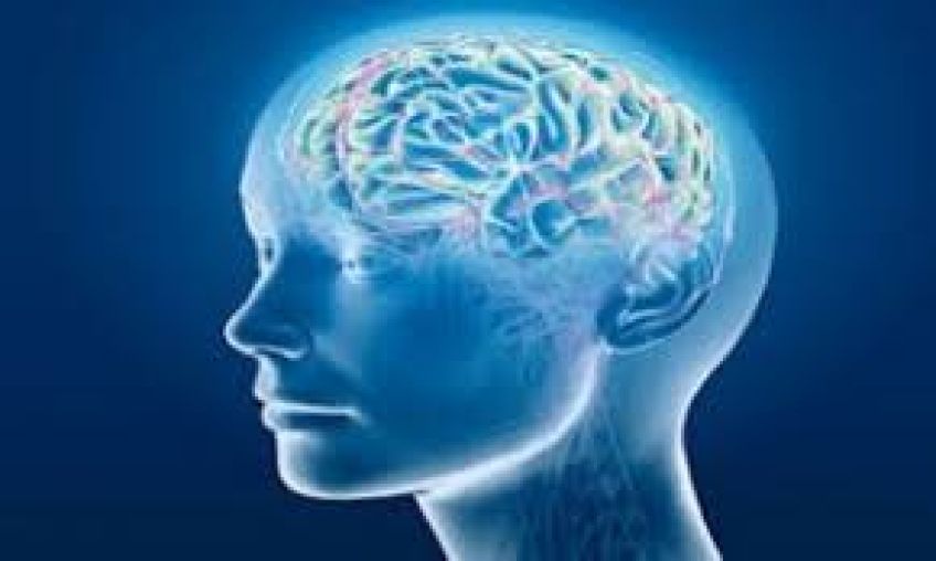 پنج روش موثر برای تقویت حافظه