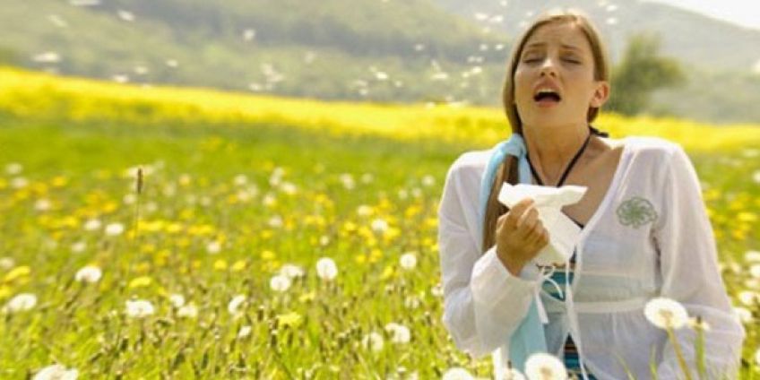 حساسیت و آلرژی فصلی در طب سنتی