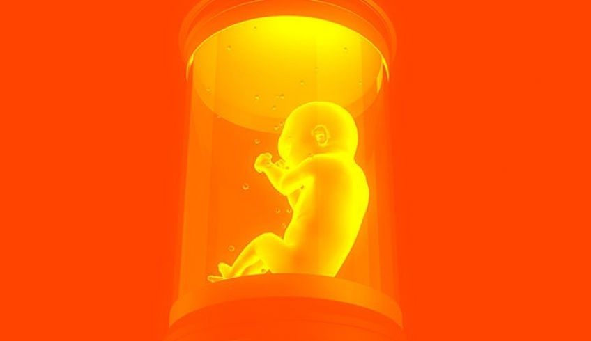 به کارگیری رحم مصنوعی برای رشد جنین تا یک دهه آینده