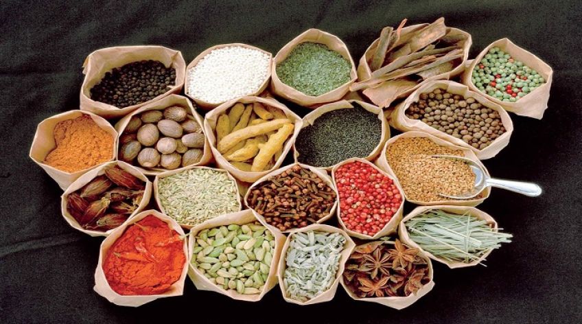 ویژگی و خصوصیات مزاج های گرم و خشک