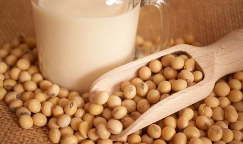 آیا سویا برای بدنسازان مفید است یا خیر