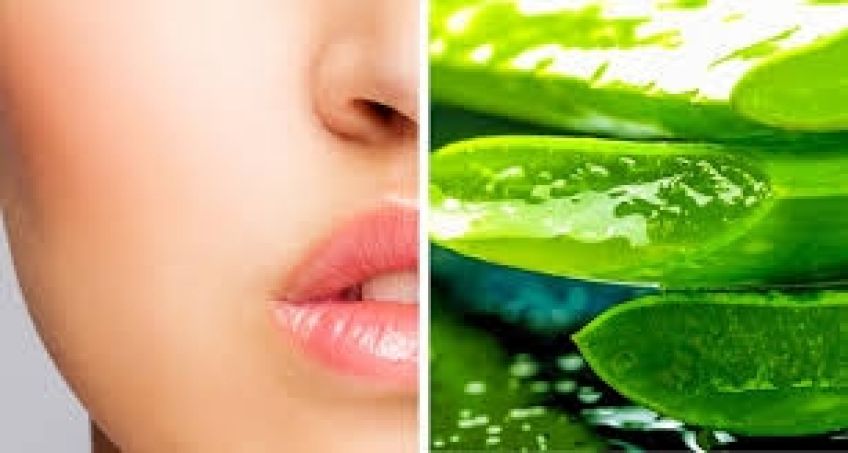 خواص ژل آلوئه ورا برای صورت