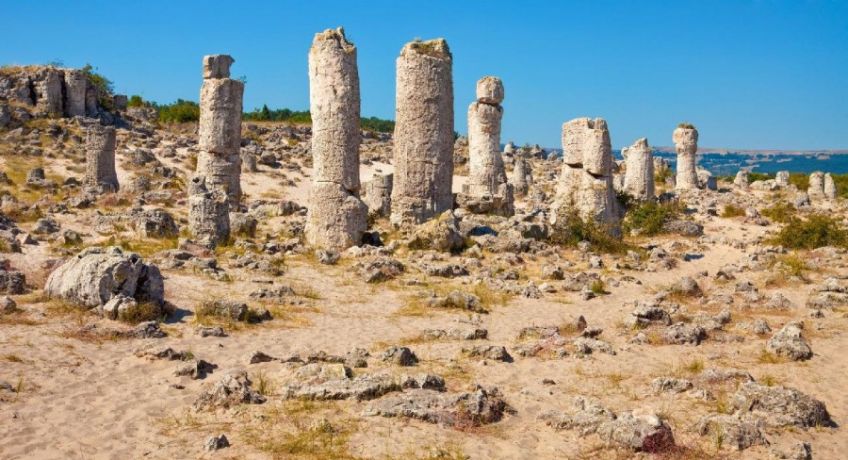 جنگل سنگی وارنا بلغارستان از بیابان های عجیب اروپا
