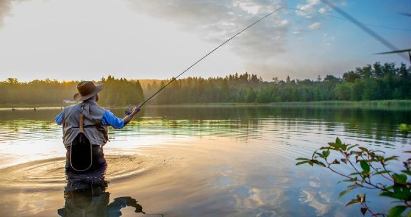 داستان زیبای رویای تاجر