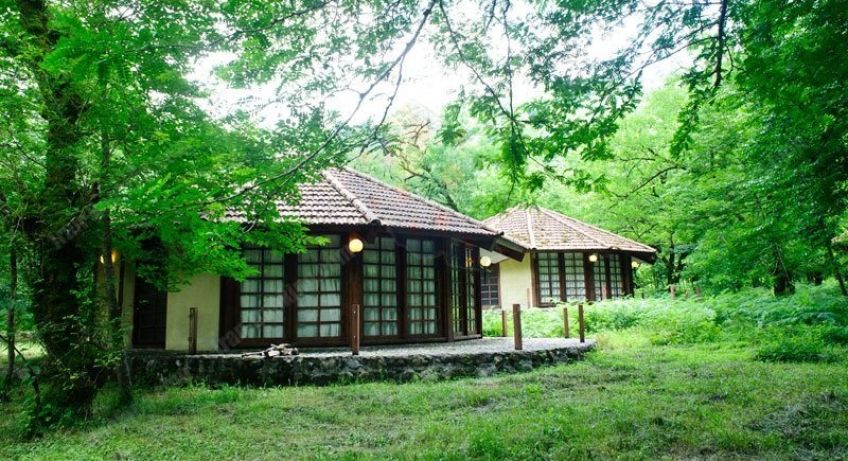 پارک جنگلی چالدره در تنکابن استان مازندران
