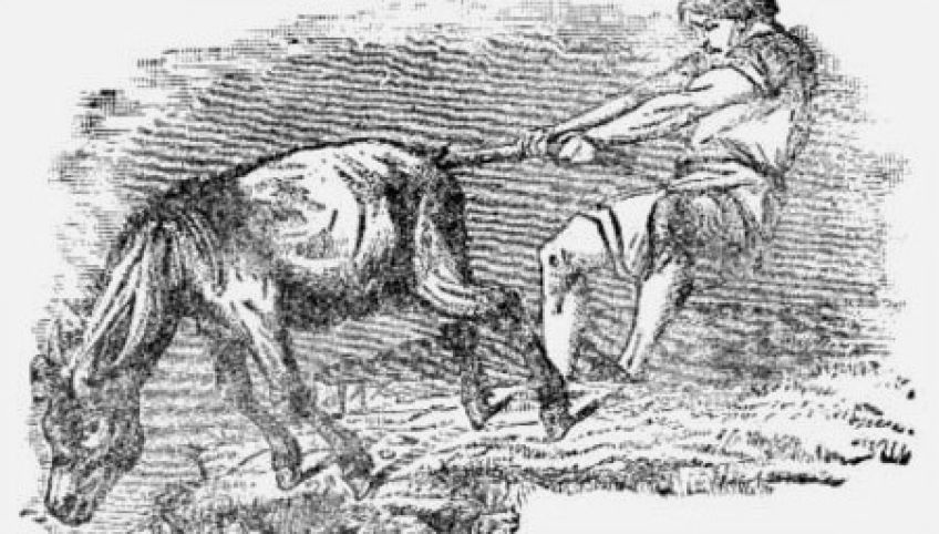 حکایت جالب خر در گل مانده