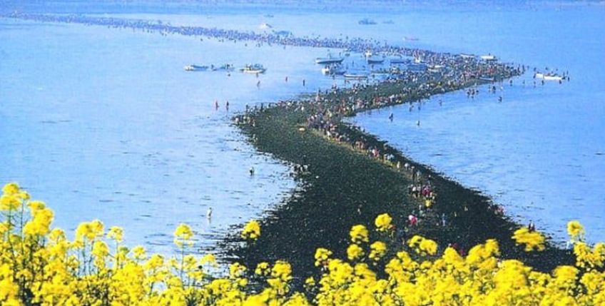 شکافته شدن دریا جاذبه ای دیدنی در یکی از جزایر کره جنوبی