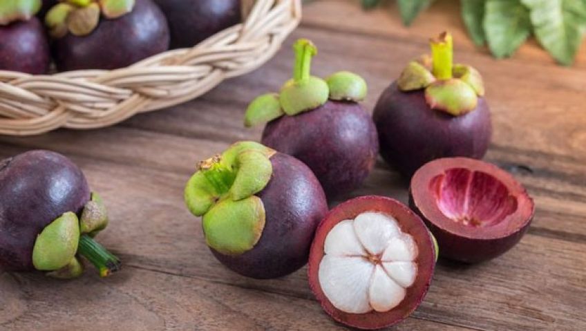 خواص میوه منگوستین یا ترگیل برای درمان انواع بیماری ها