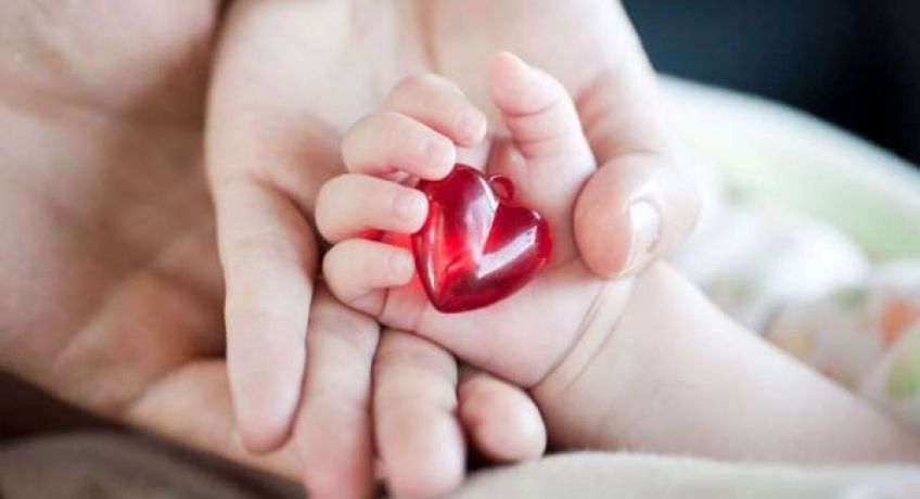 قلب جنین در چند هفتگی به طور کامل تشکیل می شود