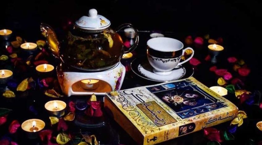 کتاب ریشه کن از نائومی نوویک با ترجمه یاسمن میرزاپور
