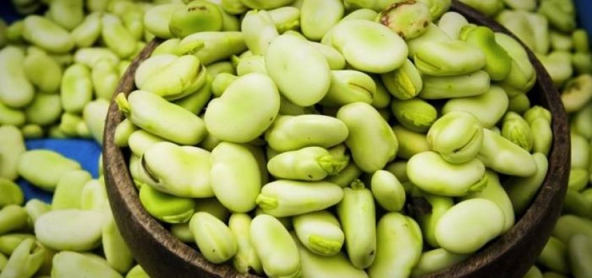 روش های فریز و خشک کردن باقالی