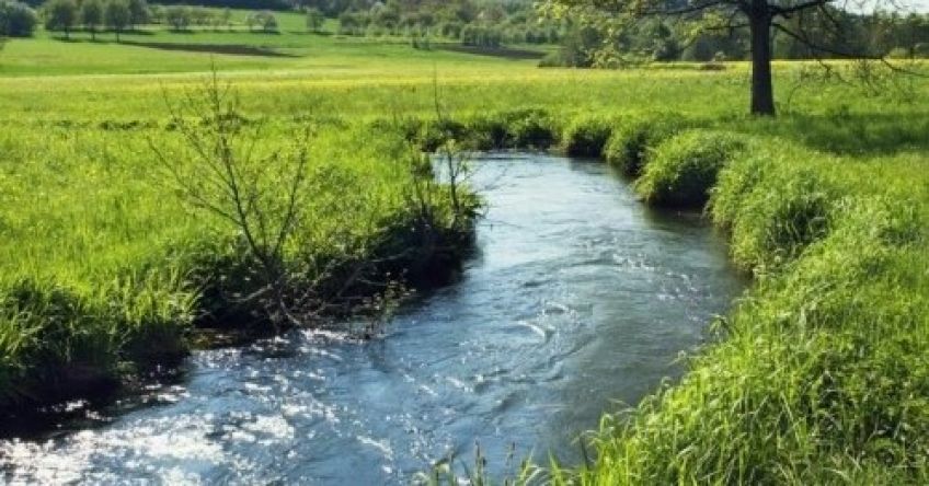 شعر آب را گل نکنیم اثر سهراب سپهری