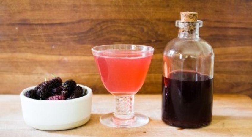 آموزش تهیه شربت شاه توت