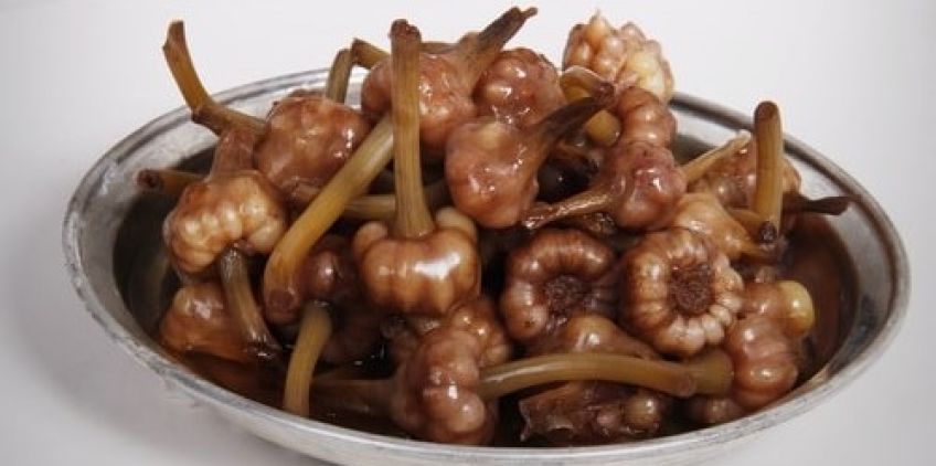 دستور تهیه ترشی گل سیر