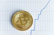 آیا قیمت بیت کوین با افزایش کاربران به ثبات خواهد رسید