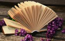 حکایت زیبای درویش یک دست