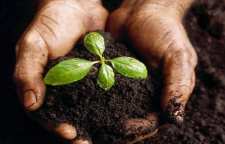 آموزش ساخت کود خانگی در منزل